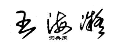 朱錫榮王海凝草書個性簽名怎么寫