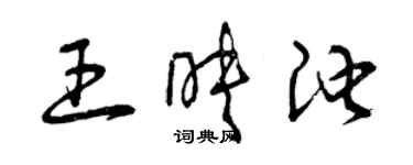 曾慶福王映池草書個性簽名怎么寫