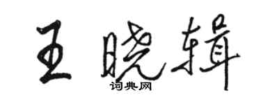 駱恆光王曉輯行書個性簽名怎么寫