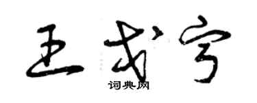 曾慶福王戈寧草書個性簽名怎么寫