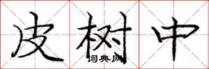 龐中華皮樹中楷書怎么寫