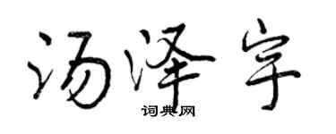 曾慶福湯澤宇行書個性簽名怎么寫