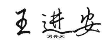 駱恆光王進安行書個性簽名怎么寫