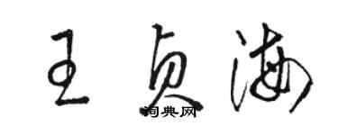 駱恆光王貞海草書個性簽名怎么寫