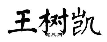 翁闓運王樹凱楷書個性簽名怎么寫