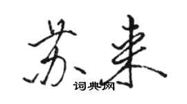 駱恆光蘇來行書個性簽名怎么寫