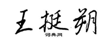 王正良王挺朔行書個性簽名怎么寫