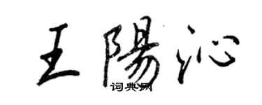 王正良王陽沁行書個性簽名怎么寫