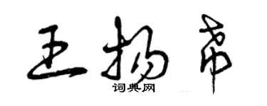 曾慶福王揚希草書個性簽名怎么寫