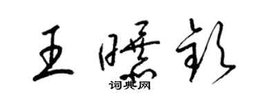 梁錦英王曝欽草書個性簽名怎么寫