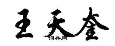 胡問遂王天奎行書個性簽名怎么寫