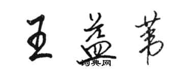 駱恆光王益葦行書個性簽名怎么寫