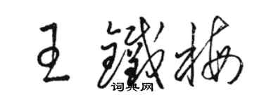 駱恆光王鐵梅草書個性簽名怎么寫