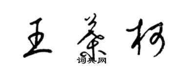 梁錦英王葉柯草書個性簽名怎么寫