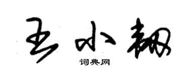 朱錫榮王小韌草書個性簽名怎么寫