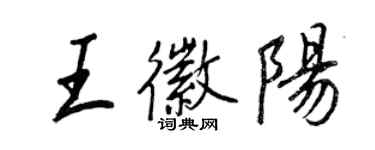 王正良王徽陽行書個性簽名怎么寫