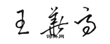 駱恆光王華高草書個性簽名怎么寫