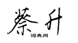 王正良蔡升行書個性簽名怎么寫