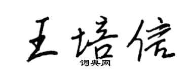 王正良王培信行書個性簽名怎么寫