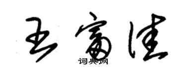 朱錫榮王富佳草書個性簽名怎么寫