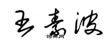 朱錫榮王素波草書個性簽名怎么寫