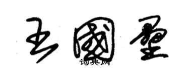 朱錫榮王國壘草書個性簽名怎么寫