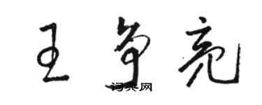 駱恆光王爭亮草書個性簽名怎么寫