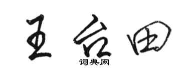 駱恆光王台田行書個性簽名怎么寫