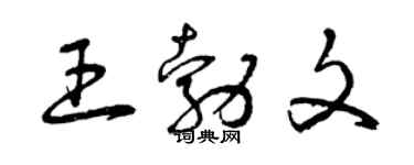 曾慶福王勃文草書個性簽名怎么寫