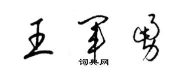 梁錦英王軍勇草書個性簽名怎么寫