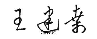 駱恆光王建桑草書個性簽名怎么寫