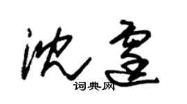 朱錫榮沈霆草書個性簽名怎么寫