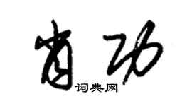 朱錫榮肖功草書個性簽名怎么寫