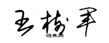 朱錫榮王樹軍草書個性簽名怎么寫