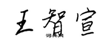 王正良王智宣行書個性簽名怎么寫
