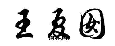 胡問遂王夏囡行書個性簽名怎么寫