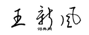 梁錦英王新風草書個性簽名怎么寫