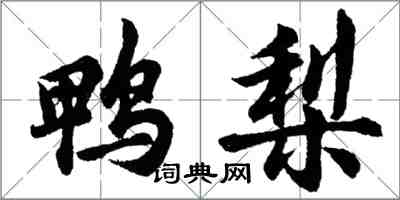 胡問遂鴨梨行書怎么寫