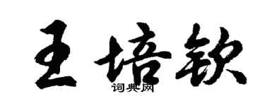 胡問遂王培欽行書個性簽名怎么寫