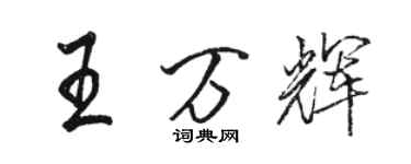 駱恆光王萬輝行書個性簽名怎么寫