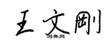 王正良王文剛行書個性簽名怎么寫