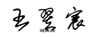 朱錫榮王翌宸草書個性簽名怎么寫