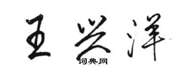 駱恆光王興洋行書個性簽名怎么寫