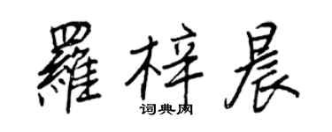 王正良羅梓晨行書個性簽名怎么寫