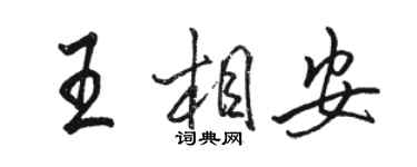 駱恆光王相安行書個性簽名怎么寫