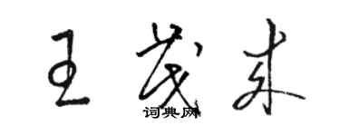 駱恆光王茂來草書個性簽名怎么寫