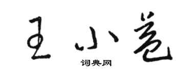 駱恆光王小益草書個性簽名怎么寫