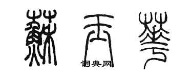 陳墨蘇玉華篆書個性簽名怎么寫