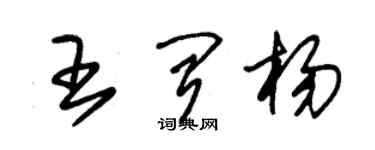 朱錫榮王聞楊草書個性簽名怎么寫