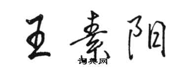 駱恆光王素陽行書個性簽名怎么寫